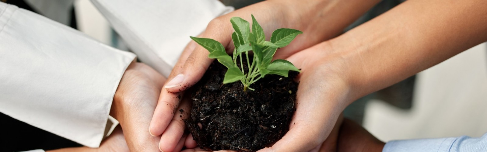 Integrity, Quality and Sustainability Policy